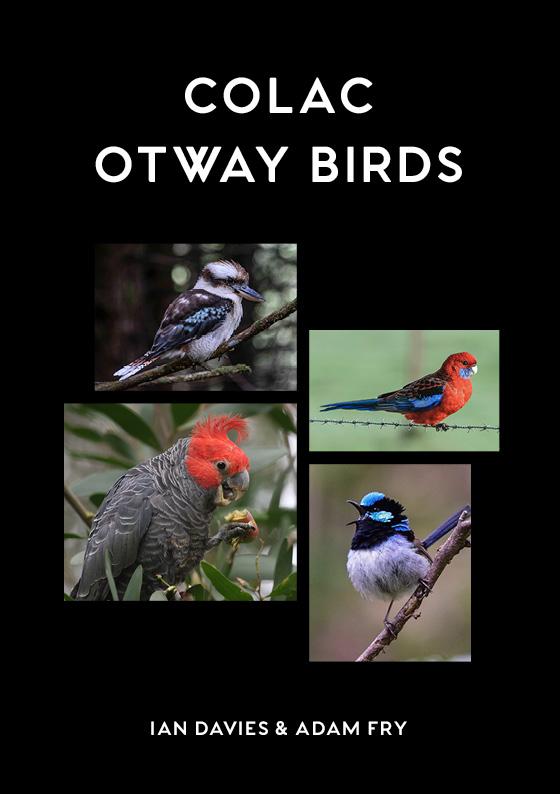 Colac Otway Birds